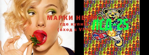 MESCALINE Аркадак